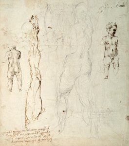 Studie van het Christuskind en een anatomische tekening met aantekeningen (zwarte krijt en bruine inkt op papier) (verso) door Michelangelo Buonarroti