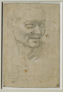 Hoofd en rechterhand van de ignudo boven en links van Jesaja, bij het gewelf van de Capella Sistina ... door Michelangelo Buonarroti