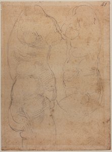 Twee studies van een oude Venus door Michelangelo Buonarroti