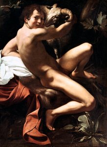 Sint Johannes de Doper in de woestijn door Michelangelo Merisi da Caravaggio