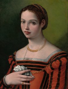 Portret van een Dame door Michele Tosini