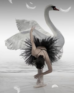 Zwarte Zwaan-ballerina door Mieke