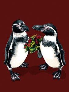 Jubileum Pinguïns op Roodoxide, 2020