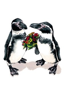 Jubileum Pinguïns op Wit, 2020