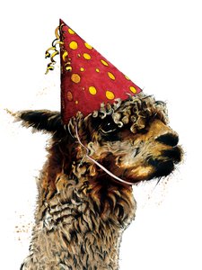 Verjaardag Alpaca op Wit, 2020 door Mike Davis