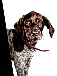 Vaarwel Puppy op Wit, 2020 door Mike Davis