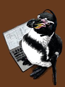 Nieuwe Baan Pinguïn op Gebrand Oranje, 2020