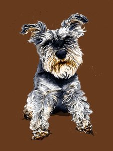 Ollie De Schnauzer op Gebrand Oranje door Mike Davis