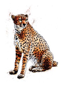 De Cheetah op Wit, 2020 door Mike Davis