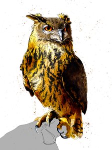 De Oehoe op Wit, 2019
