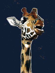 De Giraffe op Middernacht Blauw door Mike Davis