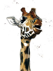 De Giraffe op Wit door Mike Davis