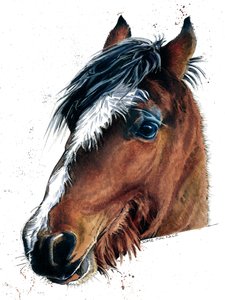 Het Paard op Wit, 2020