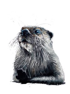 De Otter op Wit, 2020