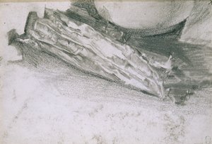 Parelmossel, 1904