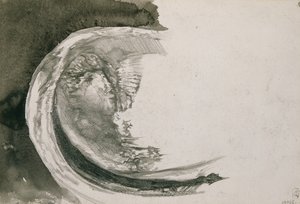 Parelmossel, 1904
