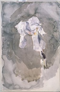 Witte iris door Mikhail Aleksandrovich Vrubel