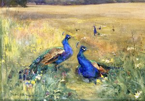Pauwen in een Veld door Mildred Anne Butler