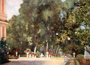 De magnoliaboom, Aranjuez