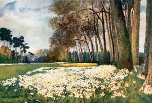 Het Park, Sandringham