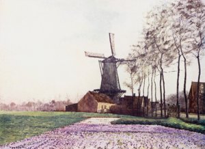 De belofte van de lente