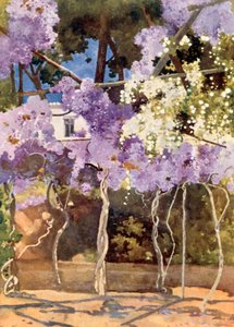 De Wisteria Prieel, Het Koninklijk Paleis, Athene