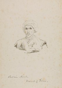 Arabische bedoeïen - Woestijn van de Sinaï