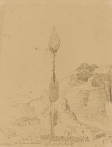 Eikenboom op de berg Sinaï