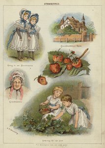 Aardbeien door Miss Eliza F. Manning