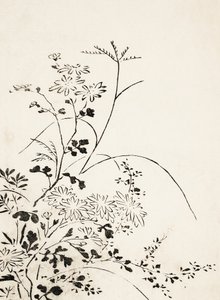 Herfstbloemen en -grassen (1762) door Miyazaki Yuzen