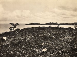 Het bouwen van een rijk in het fascistische tijdperk: Meer Tana. Ethiopië, 09/05/1936