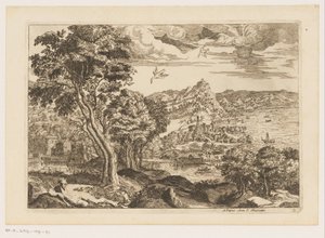 Kustlandschap met vliegende vogels