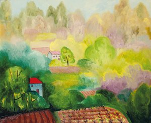 Landschap in Saint Tropez
