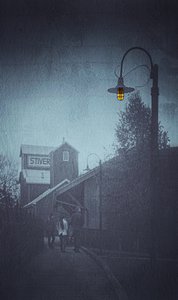 Somber, regenachtig straatbeeld door Molly Fu APA