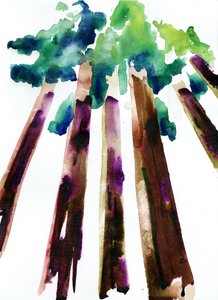 Sequoia, 2021