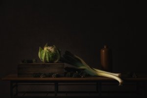  door Monique van Velzen