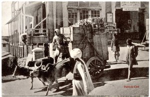 Ossenkar, ca. 1900-20