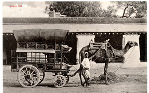 Kameel Dak, ca. 1911-12 (sepia foto)