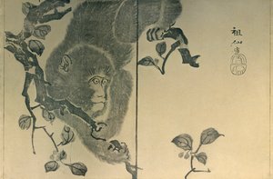 Aap, 1815