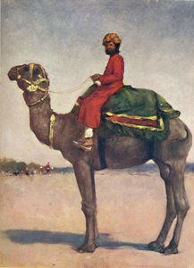 Een Kameelrijder uit Kota