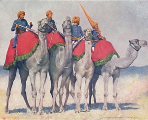 Kameelrijders uit Alwar