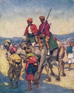 Kamelen uit Mysore, 1903