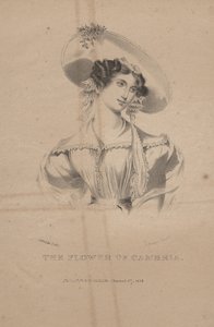 De bloem van Cambria, litho door C.G. Childs