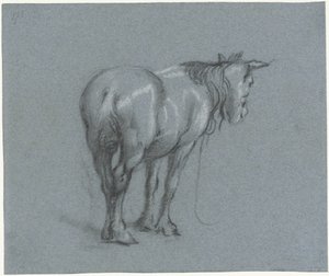 Studie van een paard van achteren, naar rechts (series title)