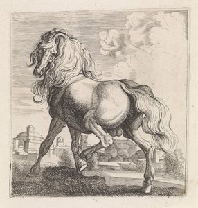 Paard door Moyses van Wtenbrouck (possibly)