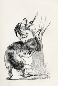 Halfbloed Herderhond die zijn meester liefkoost, uit Charles Darwin