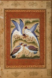 Vogels. Miniatuur gouache van de Mogolse school. 1590-1600. Parijs, Guimet Museum, Nationaal Museum voor Aziatische Kunsten