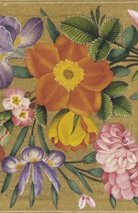 Pagina uit het St. Petersburg Album, India, 1727 (kleur op goudgrond) door Muhammad Sadiq