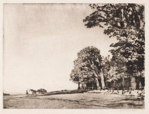 Hampstead Heide door Muirhead Bone