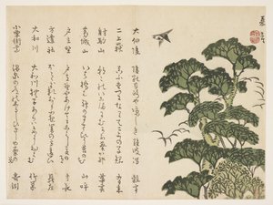 Grote boom en vogels, ca. 1830-44 door Murata Kagen